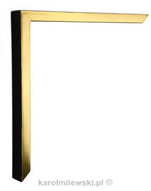 Gold gilded picture frame 17 G3