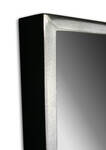 Mirror frame gilt white gold on grey bole