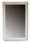 Mirror in white frame